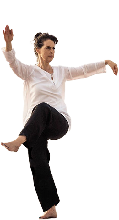 Tai chi chuan : suivez l'actualité du tai chi avec le blog d'Autour De La Gym