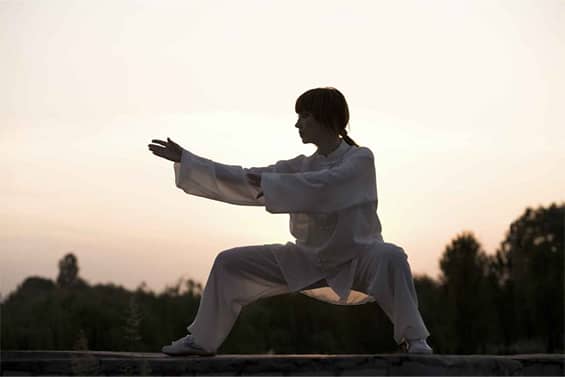 Planning  retrouvez le Tai Chi Chuan sur l'emploi du temps d'Autour De La Gym, association de Sport basée à Chateauneuf-Les-Martigues près de Gignac-la-Nerthe, Vitrolles, Marignane, Le Rove..